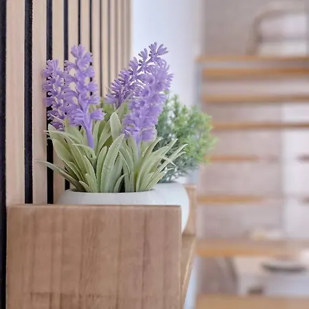 Romantic Roig Arena N10 Virkin * 瓦伦西亚